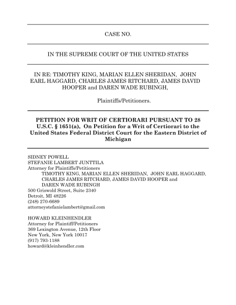 20201211163936285_Petition Michigan -01.png